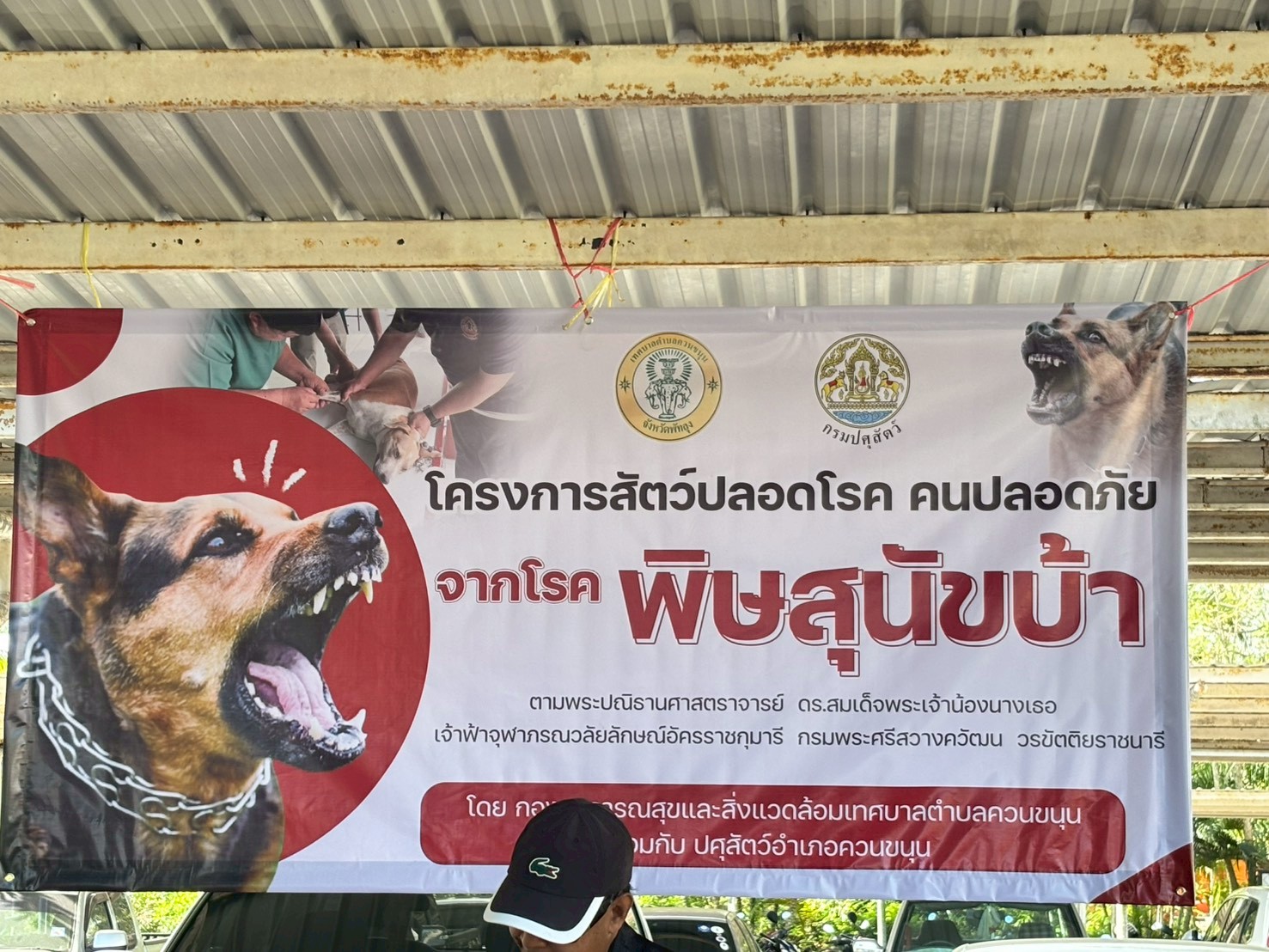 12 มีนาคม 2569 โครงการสัตว์ปลอดโรค คนปลอดภัยจากโรคพิษสุนัขบ้า