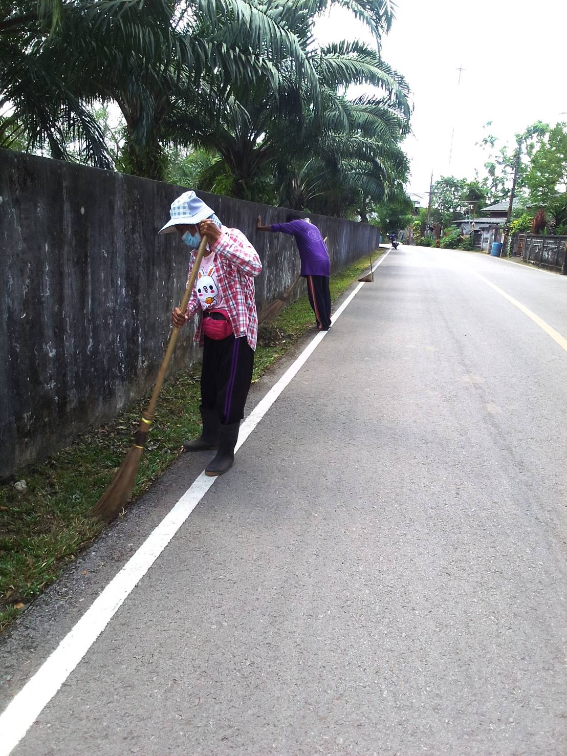 ทำความสะอาดถนนประชาสามัคคี