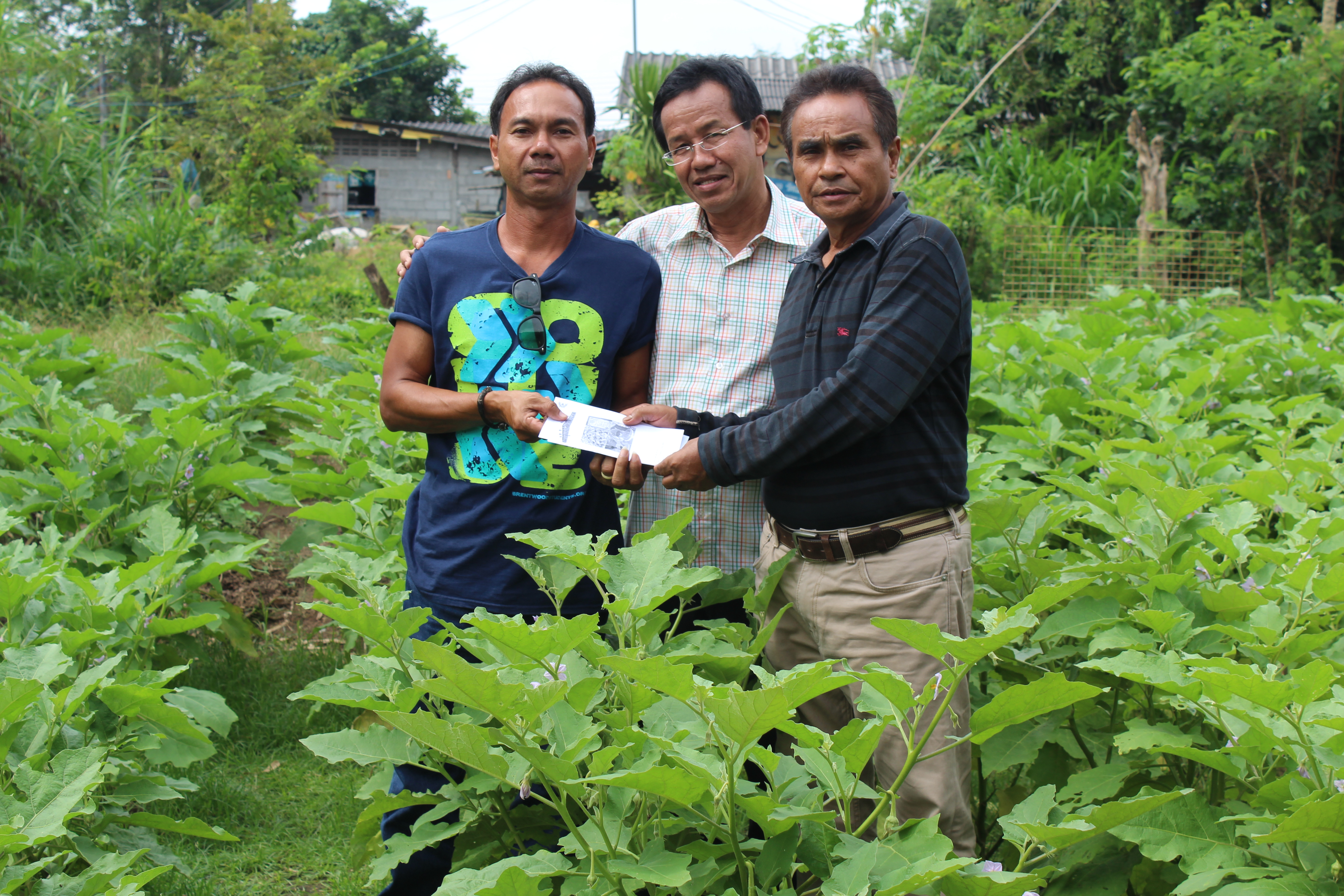 กิจกรรมลงพื้นที่เยี่ยมเกษตรผู้ปลูกผักปลอดสารพิษ