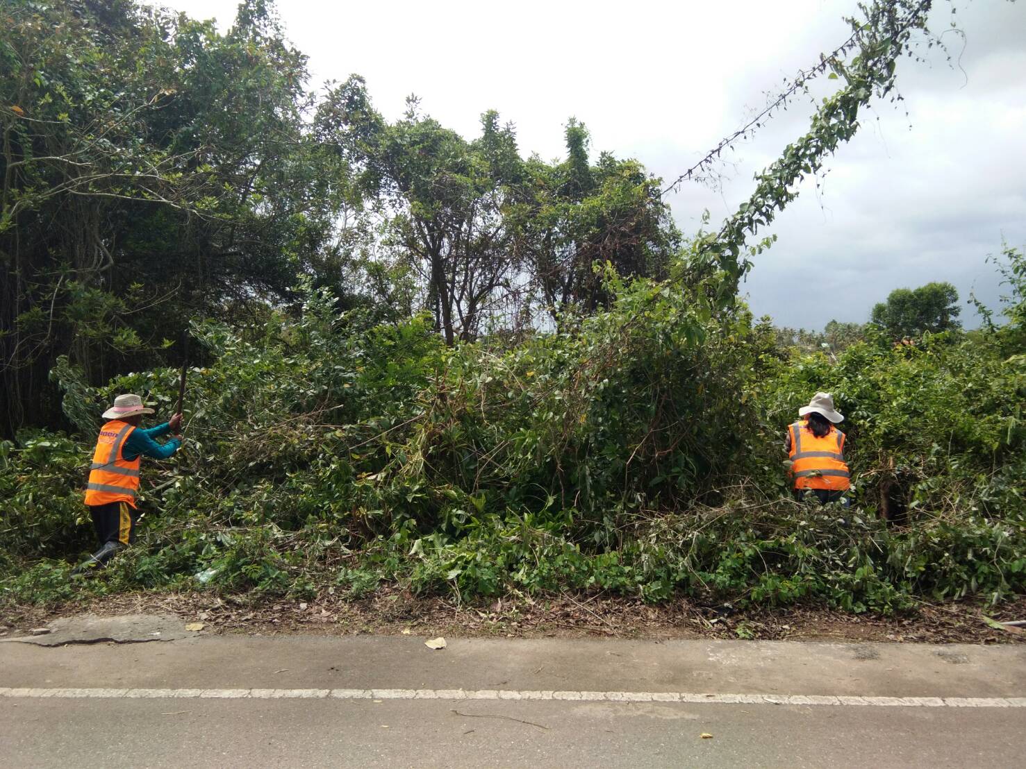 กองสาธารณสุขฯ ปฏิบัติงานถนนเลียบควน
